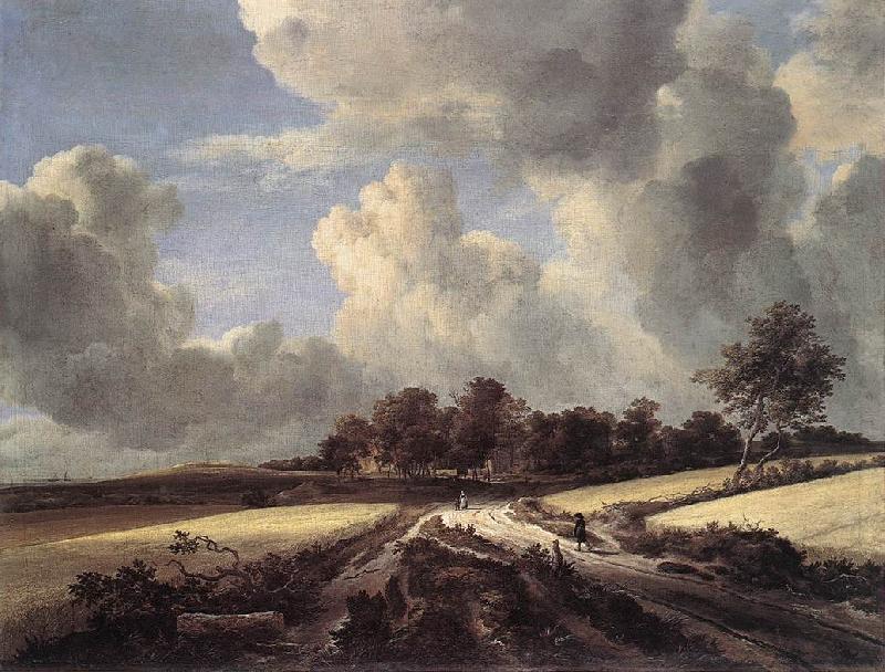 Jacob van Ruisdael Wheat Fields Germany oil painting art